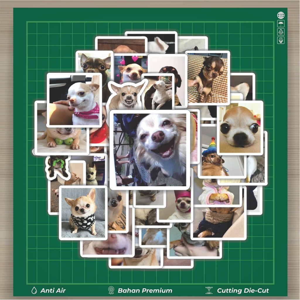 

HOT 50 PCS STIKER Stiker Cihuahua Stiker Fashion Cars Decal Dingin Kartu Album Custom Vinyl Anti Air- Sticker Aesthetic Buku Journal Koper Casing HP Tablet Laptop Helm Motor Botol Minum