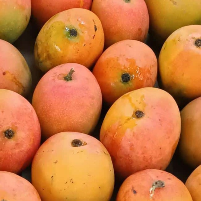 

buah mangga gedong