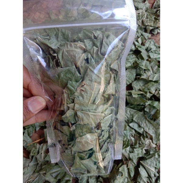 

DAUN TEH CINA KERING HERBAL MUJARAB SL