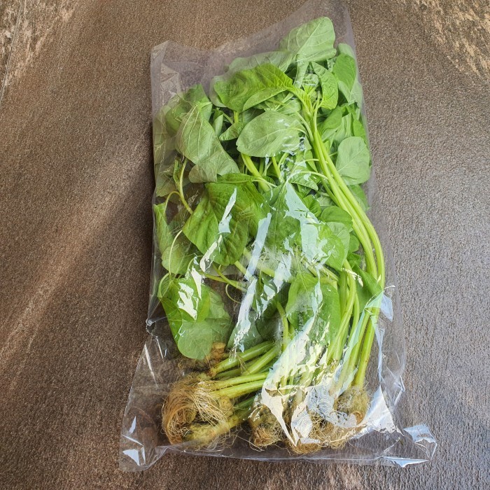 

BAYAM HIJAU HIDROPONIK 250gr