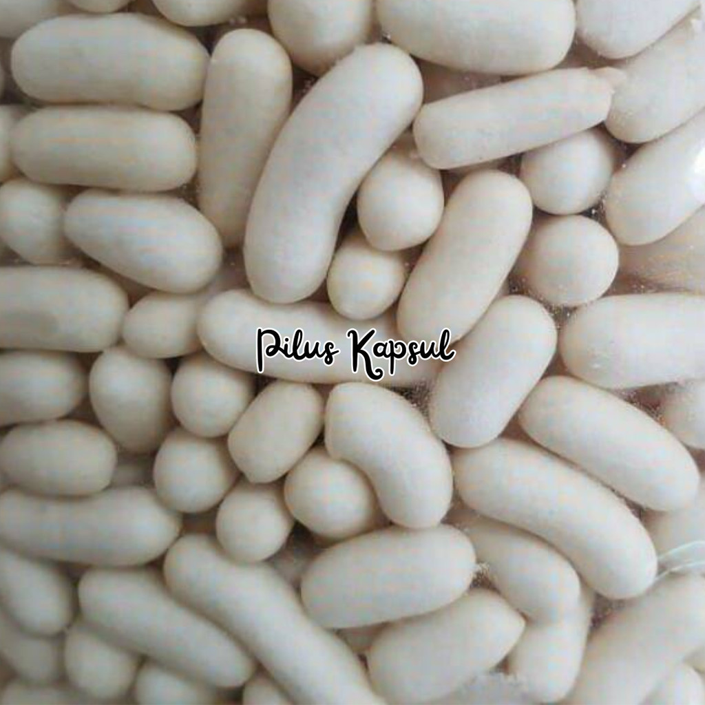 

TERLARIS SALE! pilus kapsul cikur pilus jagung pilus garuda Termurah