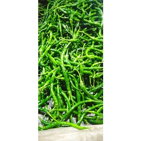 

Cabe Keriting Hijau 500gr