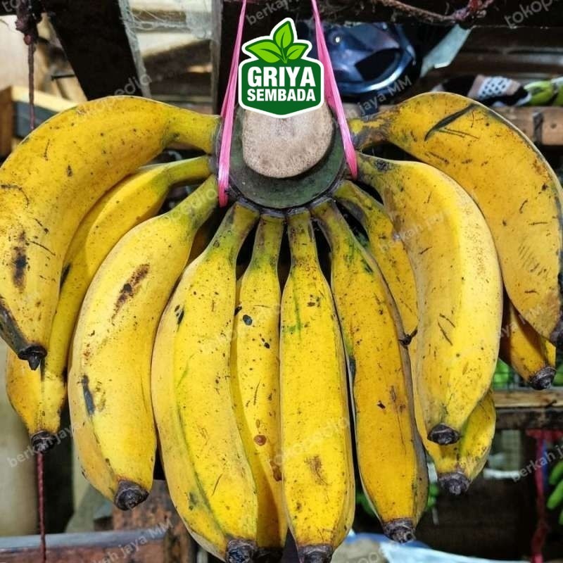 

Instant pisang raja bulu persisir Griya Sembada