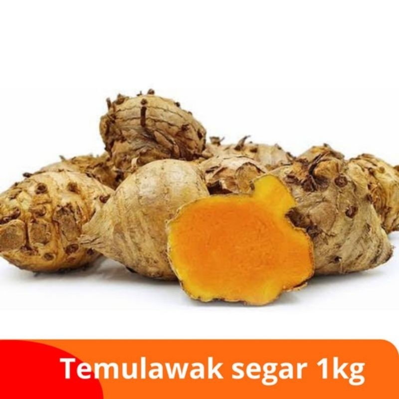 

Readyy Temulawak segar 1kg temu lawak umbi basah fresh