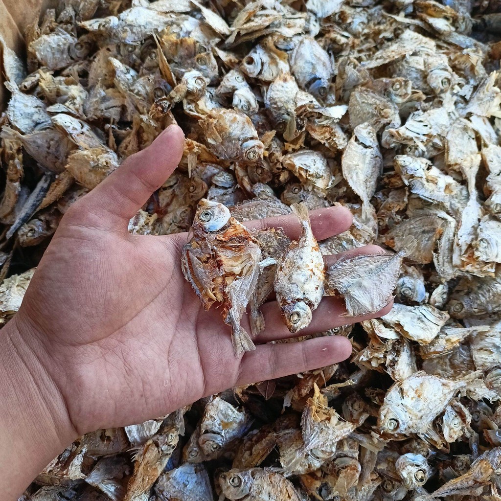 

Asin rebus Petek mentah siap pakai untuk lauk makan, tersedia dengan kemasan ekonomis isi 250 gram per satu pembelian