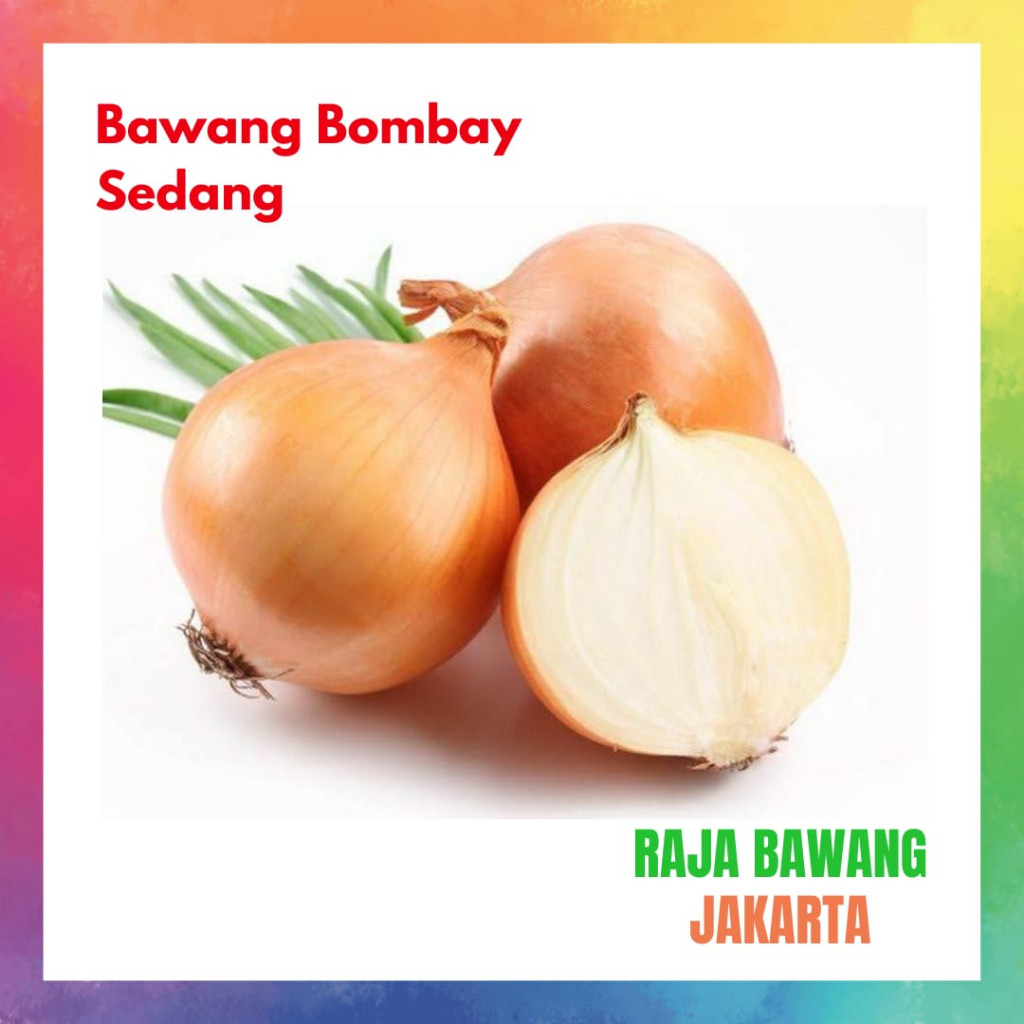 

Bawang Bombay Sedang Bersih Segar (COD)