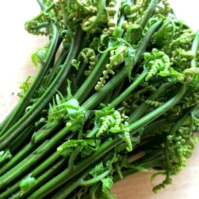 

sayur pakis segar termurah 1kg