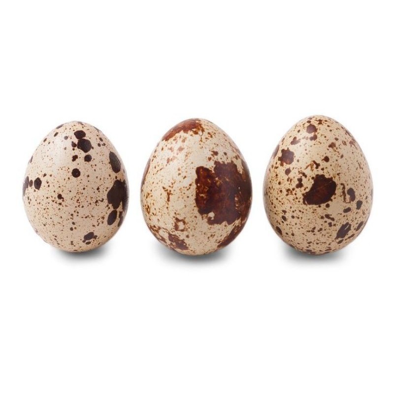 

Telur Burung puyuh mentah