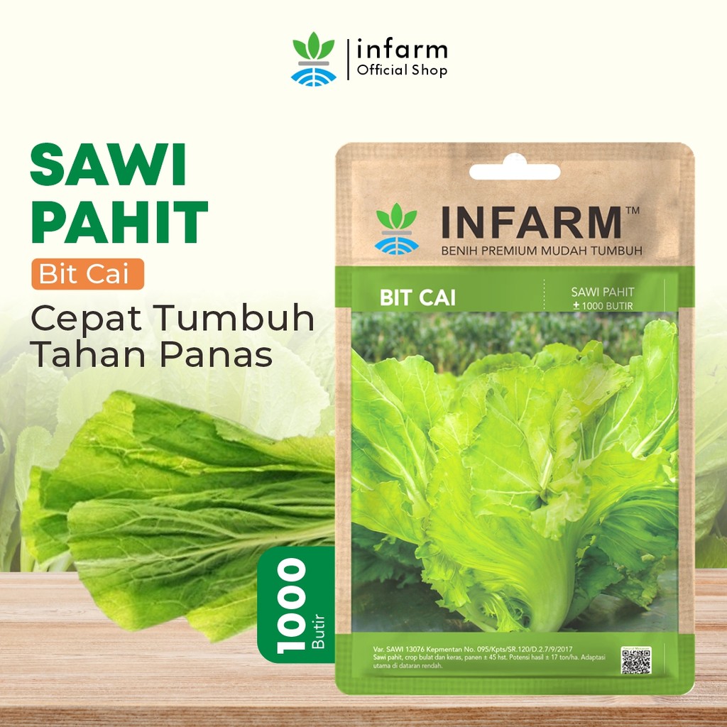 Benih Bibit Unggul Sawi Pahit Bitcai Sayur Sawi Pahit Bulat