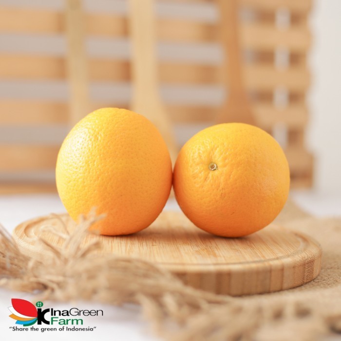 

Buah Jeruk Manis/Sweet Orange Inagreen