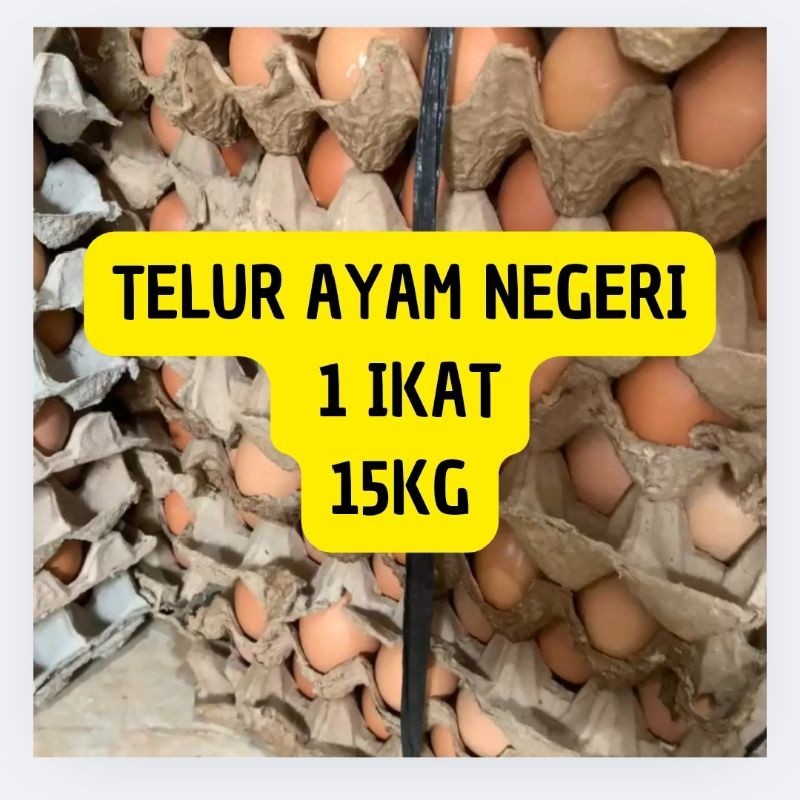

Telur Ayam Negeri Per Ikat - 15 KG Fresh Langsung Dari Peternak