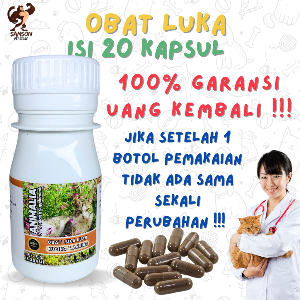 OBAT LUKA KUCING EKSTRAK IKAN GABUS  SUPLEMEN PENYEMBUH LUKA KUCING TERBUKA BASAH BERANTEM BERNANAH 