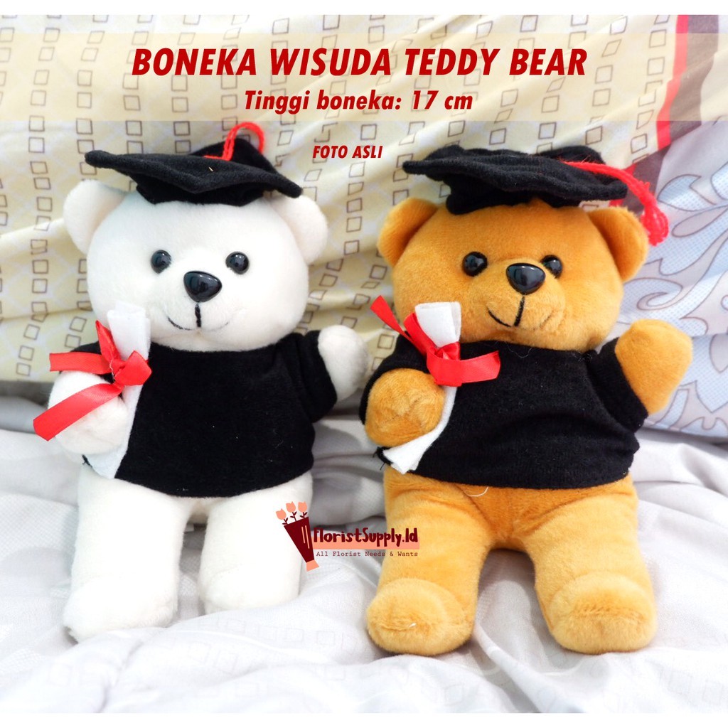 Boneka Wisuda Teddy Bear / Boneka Wisuda Kacamata Teddy Bear