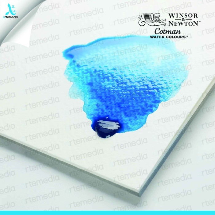 

best -Cat Air Winsor & Newton Cotman Watercolor 12 Half Pan Sketchers Pocket