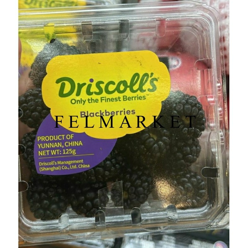 

Buah Blackberry Driscolls Import Fresh / Buah Blackberry import 125 gr