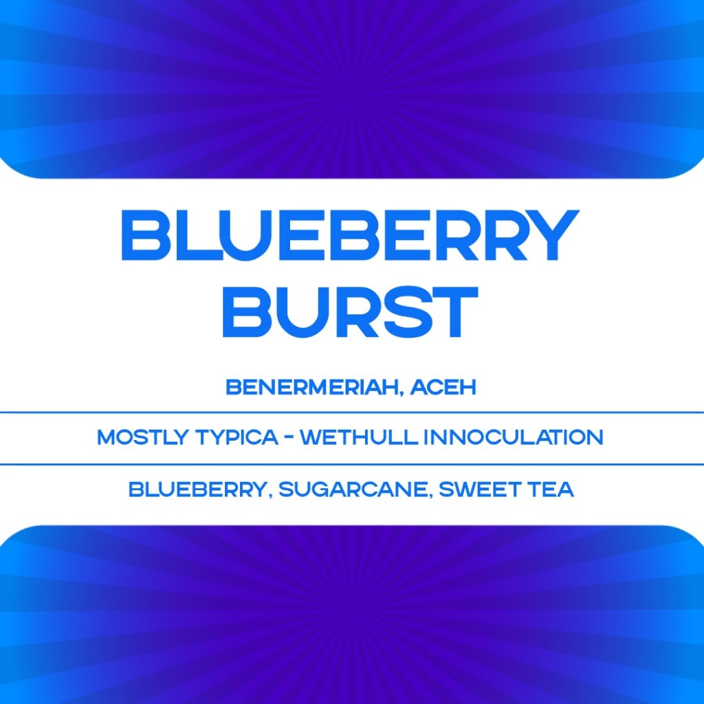 

JAMIN MURAH !!!Kopi Arabika Blueberry Burst (Wethull Innoculation)(BISA LANGSUNG ORDER)