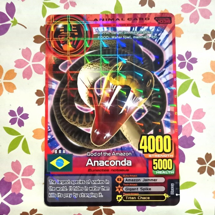 Animal kaiser normal anaconda evo 1