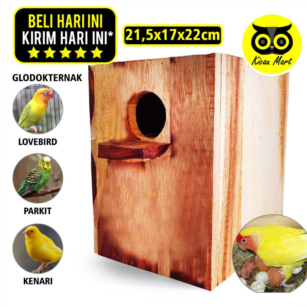 KICAU MART GLODOK LOVEBIRD KAYU GELODOK GLODOG SARANG TEMPAT TERNAK BERTELUR TELUR BURUNG PARKIT KEN