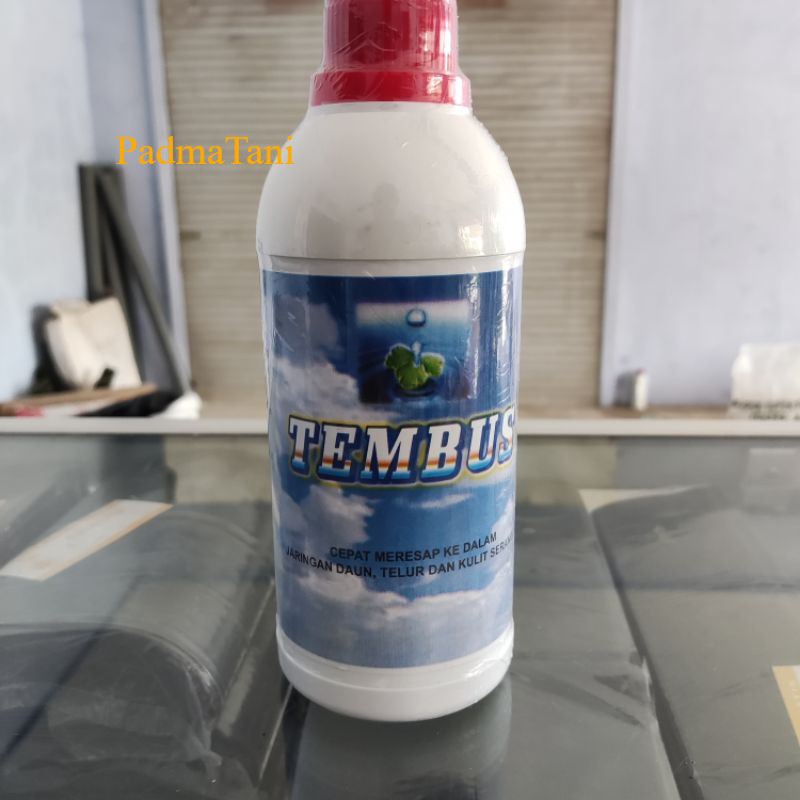 tembus pelekat perata pada tanaman