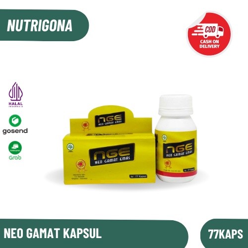 

Kapsul Neo Gamat Emas NGE 77 Jelly Gamat Kapsul