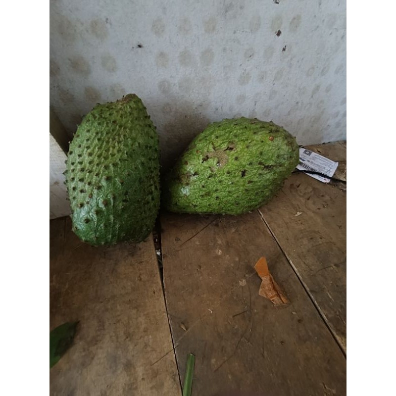 

promo buah sirsak madu segar per buah