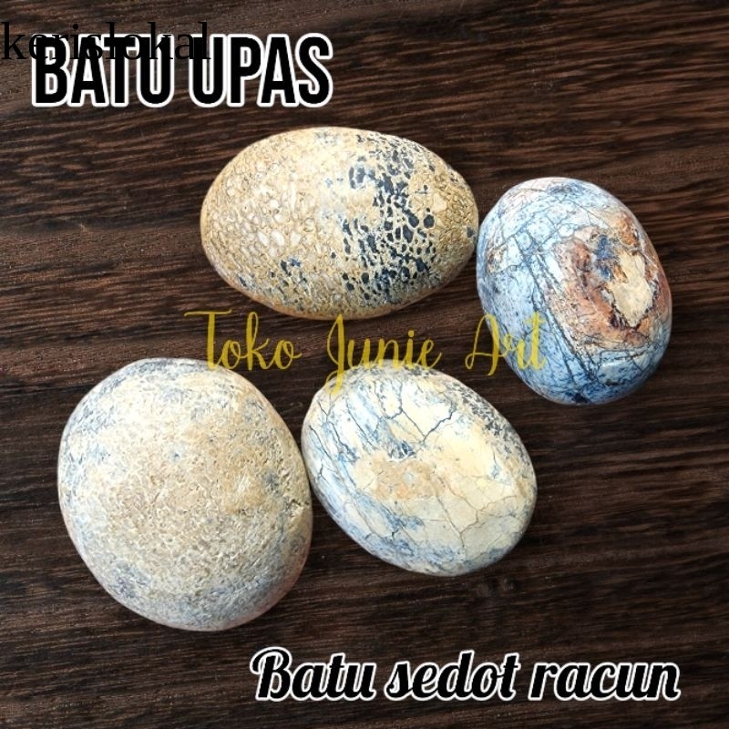 BATU ANTI WISA JUMBO / BATU ANTI RACUN NEMPEL KULIT KL8