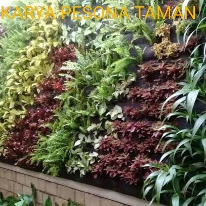 Taman Vertical Garden - Jasa Pembuatan Vertical Garden