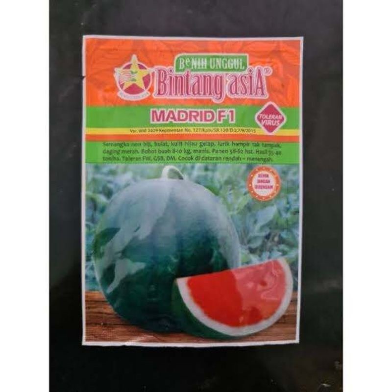 Bibit Semangka non biji MADRID F1 20 Gram - Bintang Asia