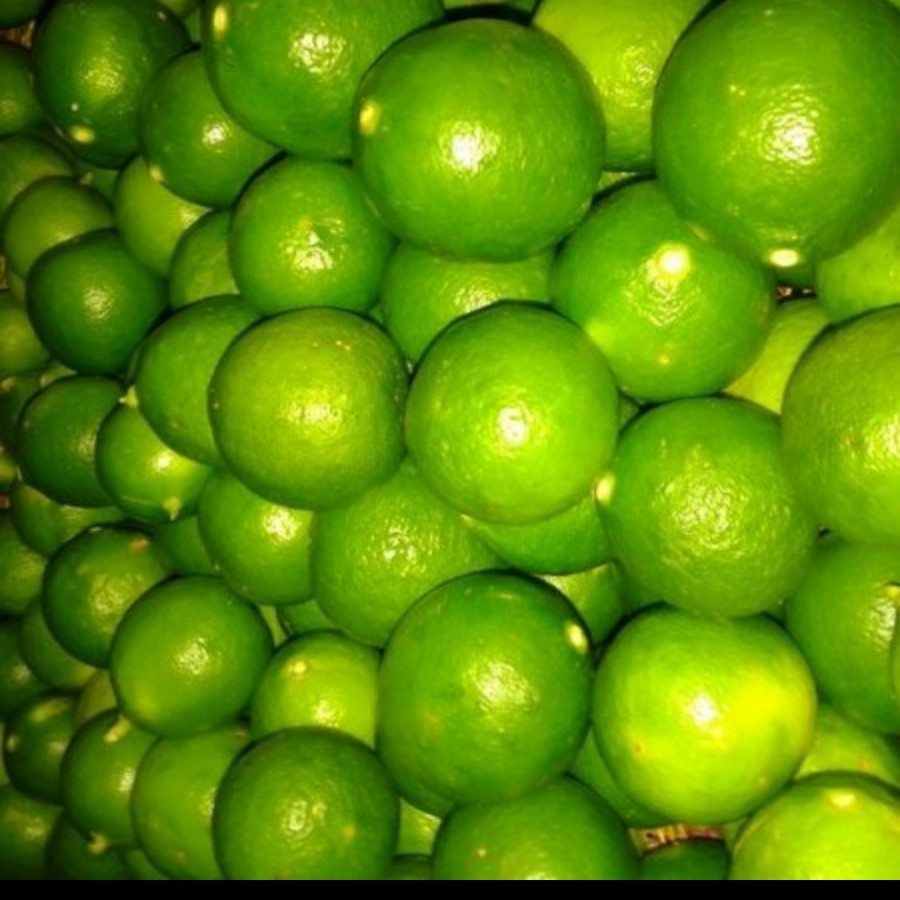 

Jeruk Nipis Super 500g 50gr/buah - 06