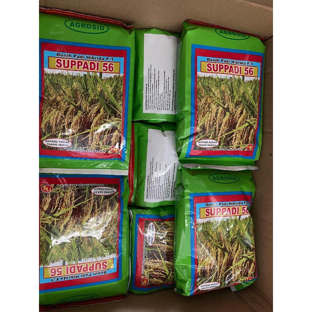 Benih Padi Supadi SUPPADI 56 Hibrida F1 Agrosid 100% ORIGINAL