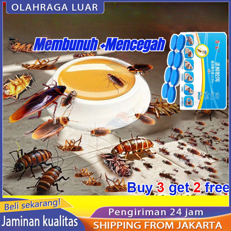 racun kecoa 8 pcs / karton perangkap kecoa pembasmi kecoa paling ampuh anti kecoa perangkap kecoa mo