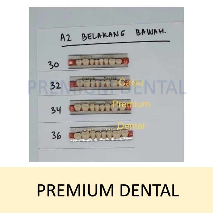 gigi palsu caiyu A2 belakang bawah
