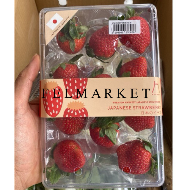 

Strawberry Hyoshi Japan Fresh / Buah Strawberry Bibit Jepang Super / Pack