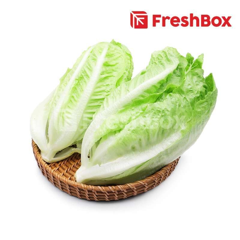

Lettuce Baby Romaine 250 gr Freshbox Instant