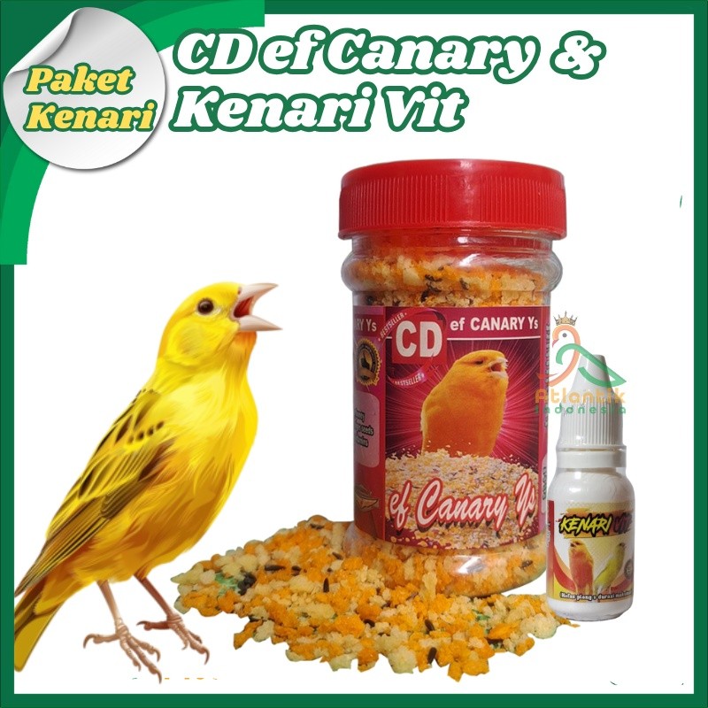 BMW Paket Kenari Roll CD Canary dan Kenari Vit Sehat dan Gacor 100% Original