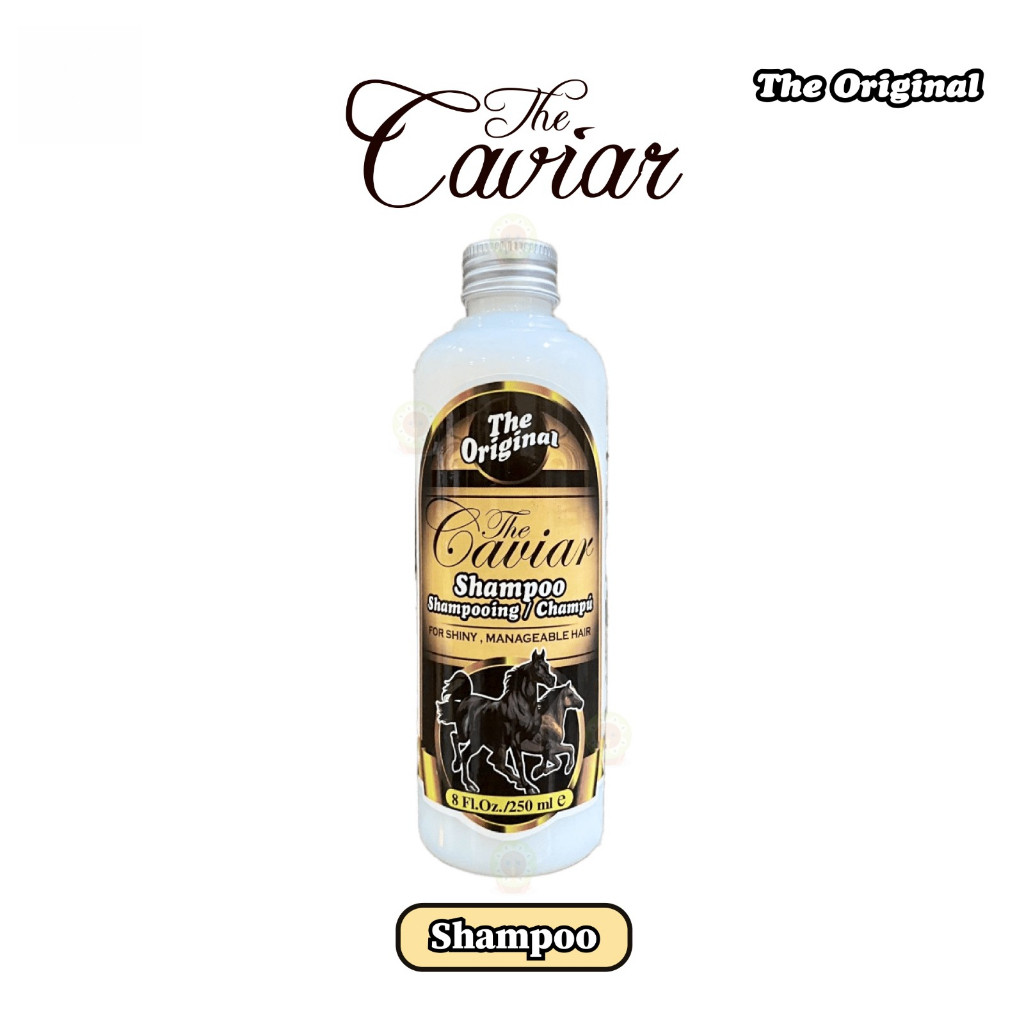Sampo Shampo Shampoo KUDA Pemanjang Rambut Cepat
