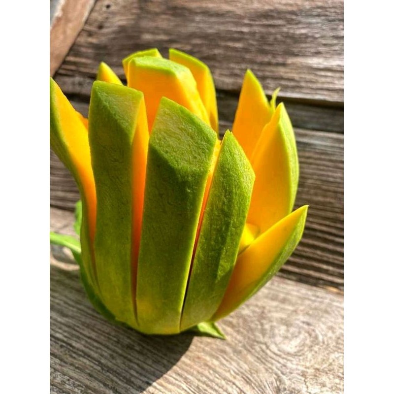 

PROMO AMBYAR mangga mekar/rujakmanggakemampo/rujakmangga TERMURAH