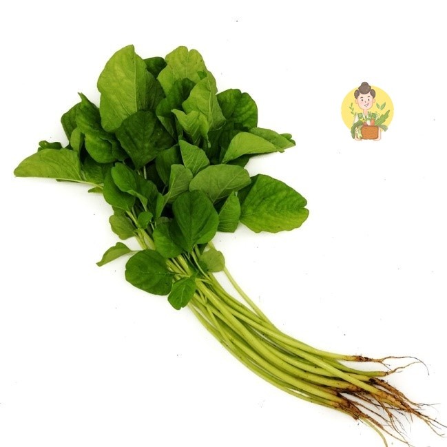 

Sayur Bayam Segar BRKAH