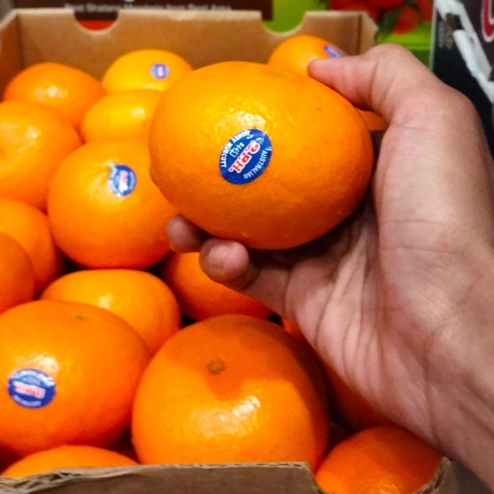 

jeruk honey murcot fresh per dus