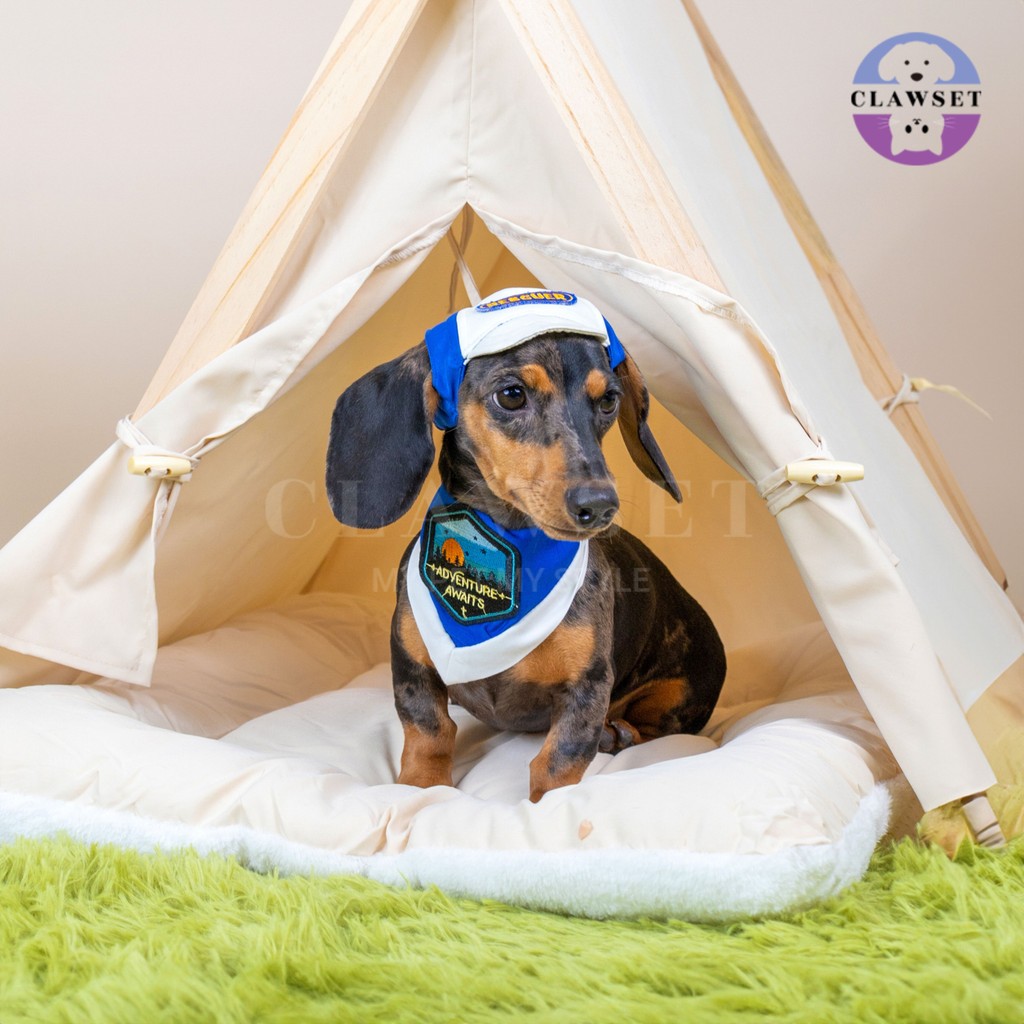 Clawset - Pet Hat - Scout Collection (Topi Hewan Peliharaan) - Rescuer Navy