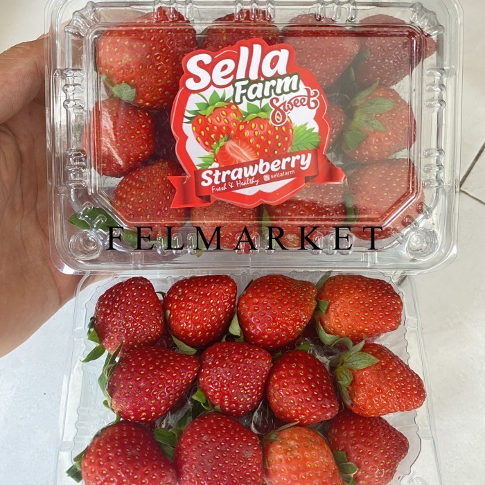 

Strawberry Lokal Sella Farm / Buah Strawberry Lokal Fresh / Pack