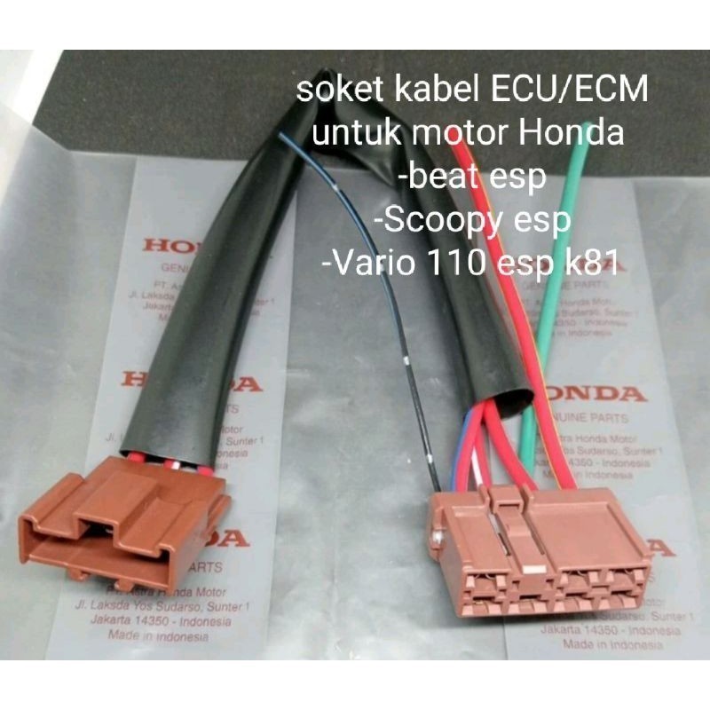 soket kabel ECU/ECM untuk motor Honda beat esp,Scoopy esp,Vario 110 esp k81