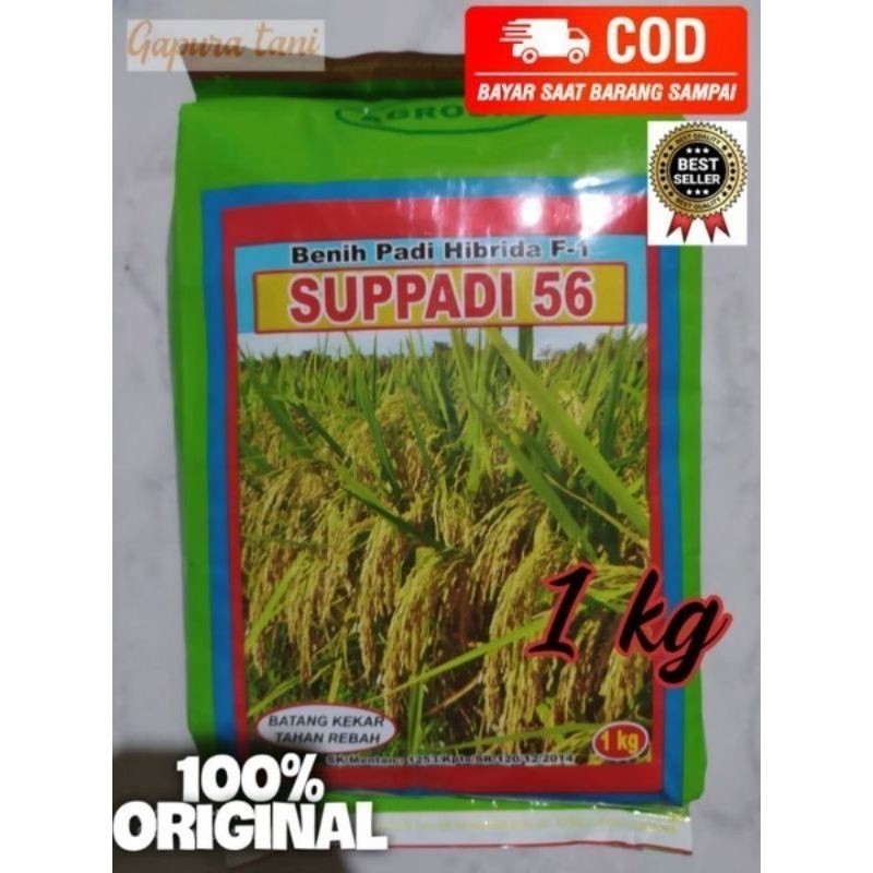 AP39LD Promo Benih Padi Suppadi 56 Kemasan 1 kg