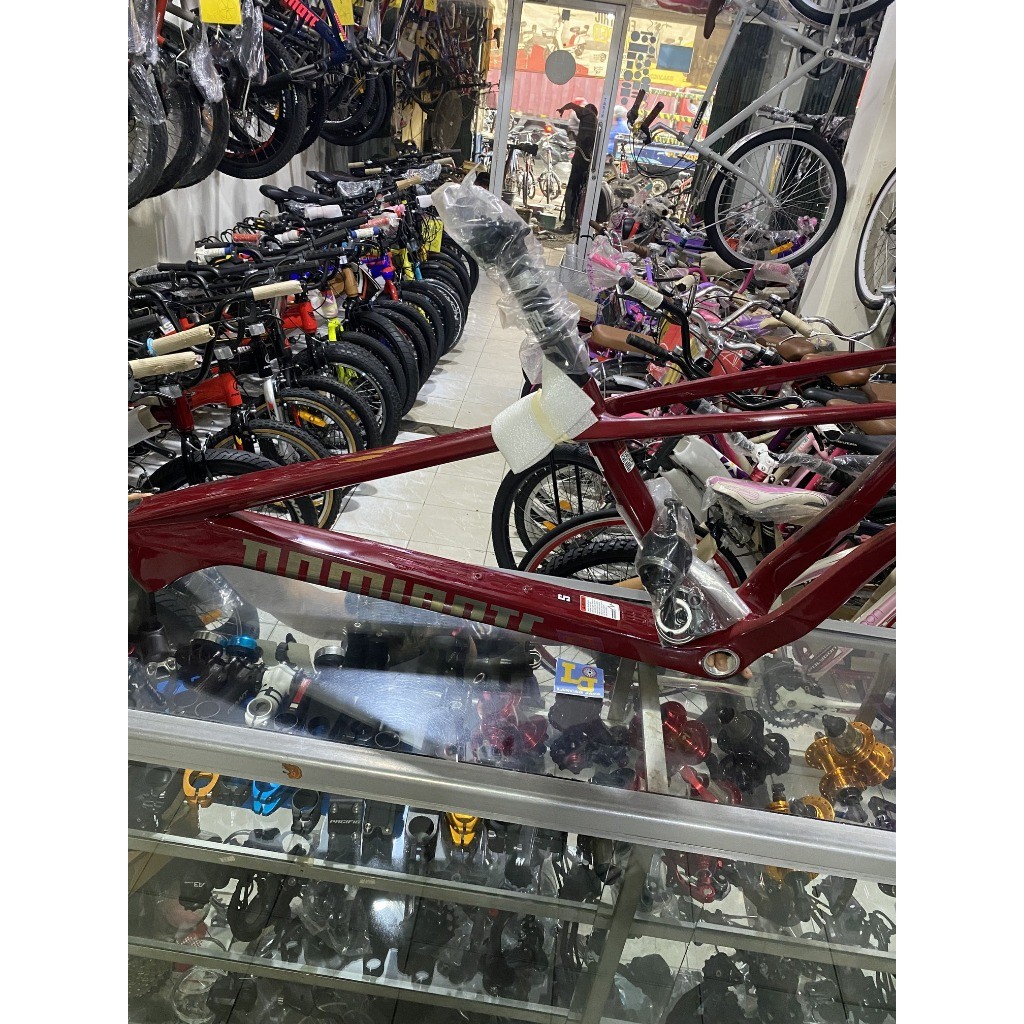 Frame Dominate CXC Elite XC Hardtail Carbon Maroon Red & Blue 29er Size S & M Boost TA 148MM