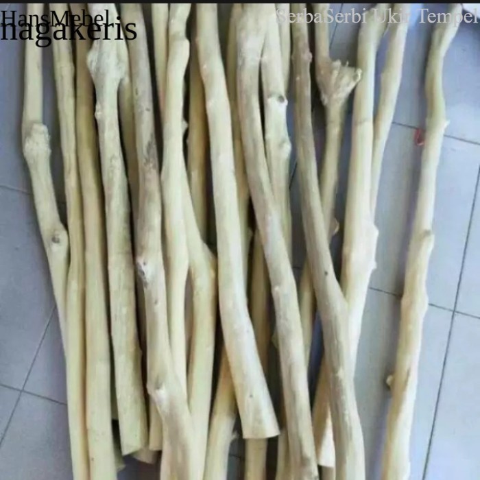 Termurah RANTING POHON JATI KAYU RANTING DEKORASI PANJANG 100-120CM FXN9 Murah Terlaris maniss