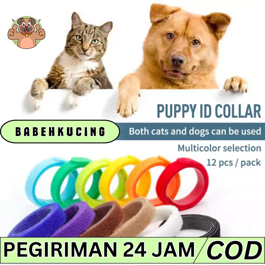termurah babepetshop Pet Acessories "KALUNG KITTEN PUPPY" Kalung Isi 12pcs - Kalung Bayi Kucing Anji