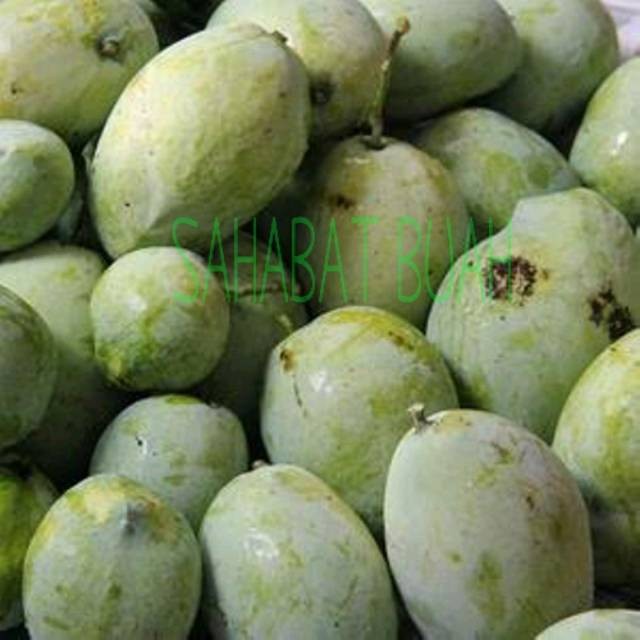 

BUAH MANGGA INDRAMAYU MENGKEL UDBUAH 3 SAUDARA