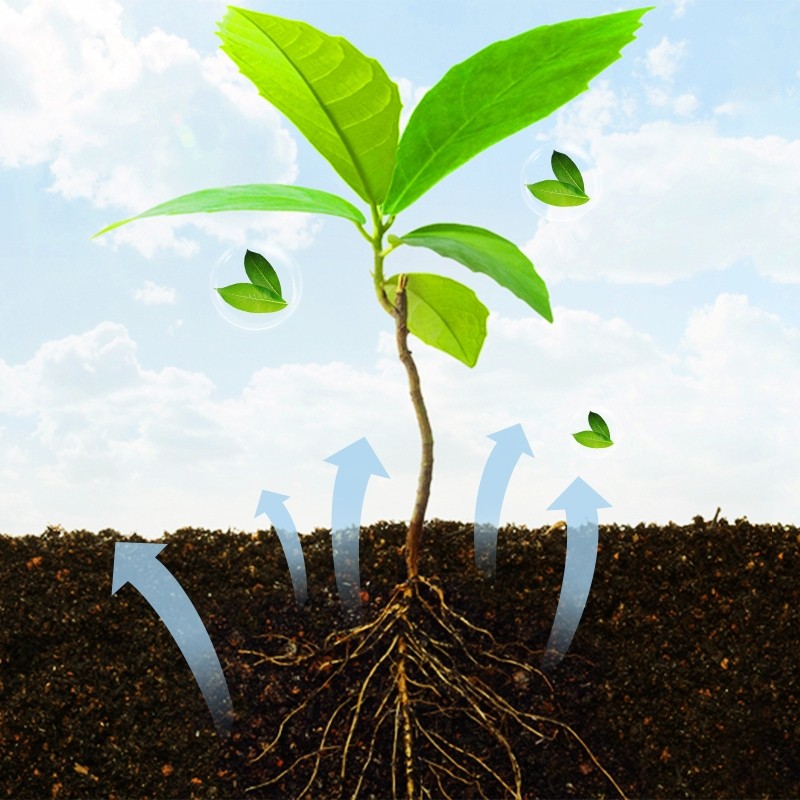 Fast Rooting Powder Plant Rapid Rooting Agent Hormone Growing Root Seedling Germination For Most Pla