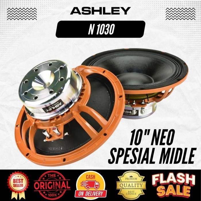 Speaker 10 Inchi Ashley N 1030