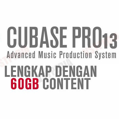 DAW Cubase 13 PRO full version PC MAC